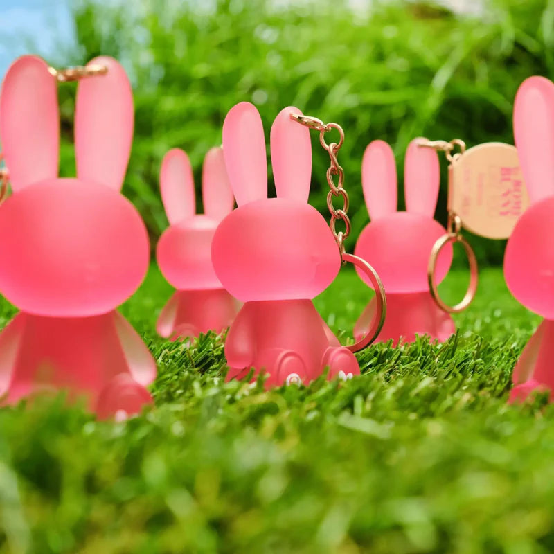 Essence Some bunny Like You Lipgloss